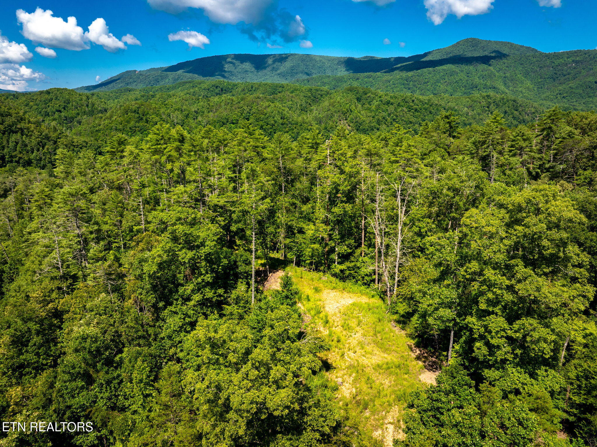 37 Hambright Road Reliance, TN 37369 - Photo 14 of 41 29-web-or-mls-DJI_20250714082646_0922_D-