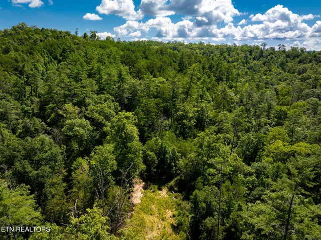 $565,000 | 37 Hambright Road, Reliance, TN 37369