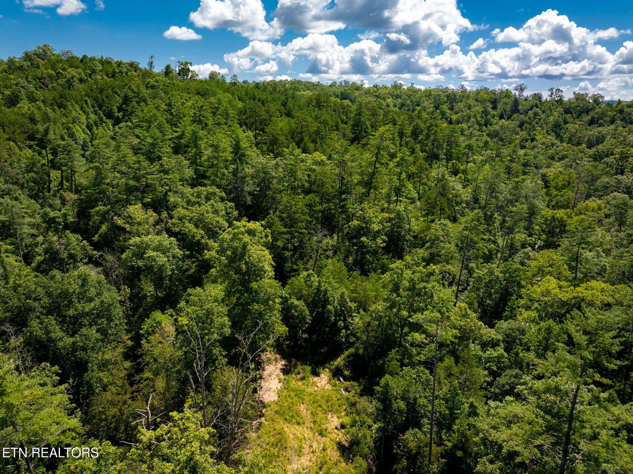 37 Hambright Road Reliance, TN 37369 - Photo 18 of 41 24-web-or-mls-DJI_20250714082443_0912_D-