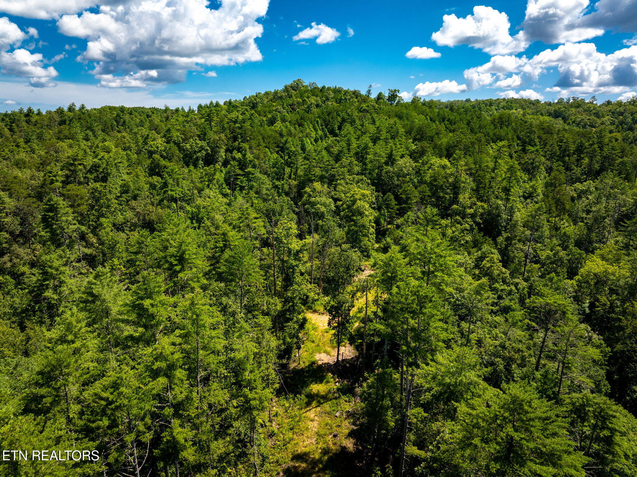 37 Hambright Road Reliance, TN 37369 - Photo 19 of 41 23-web-or-mls-DJI_20250714082429_0911_D-