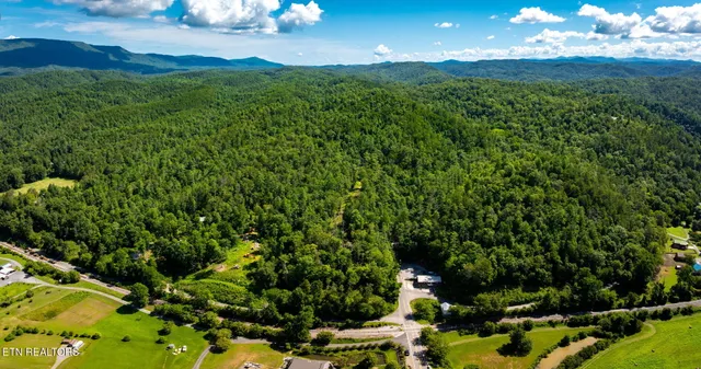 $565,000 | 37 Hambright Road, Reliance, TN 37369