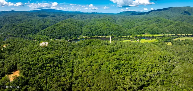 $565,000 | 37 Hambright Road, Reliance, TN 37369