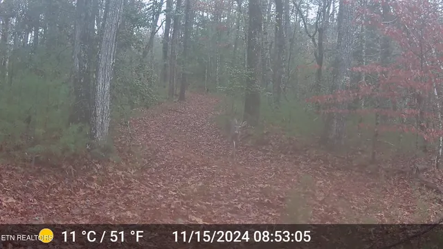 $565,000 | 37 Hambright Road, Reliance, TN 37369