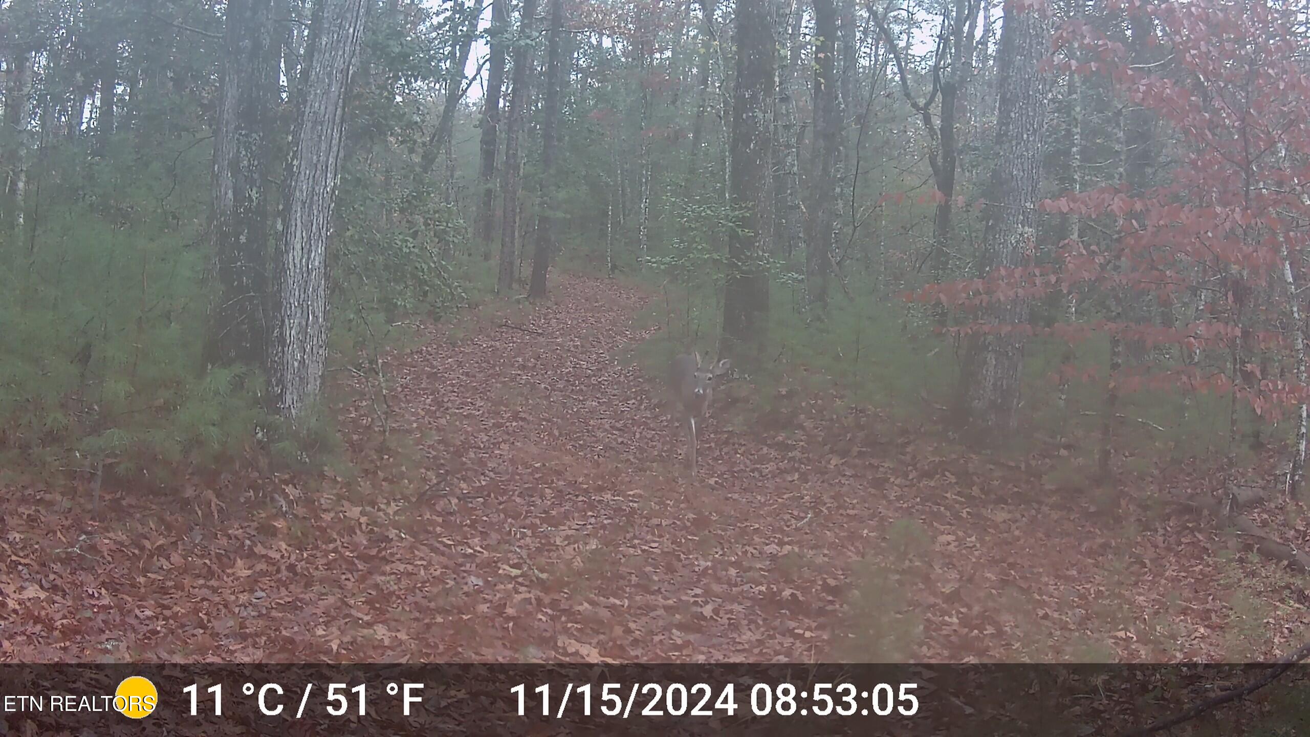 37 Hambright Road Reliance, TN 37369 - Photo 4 of 41 DSCF0001