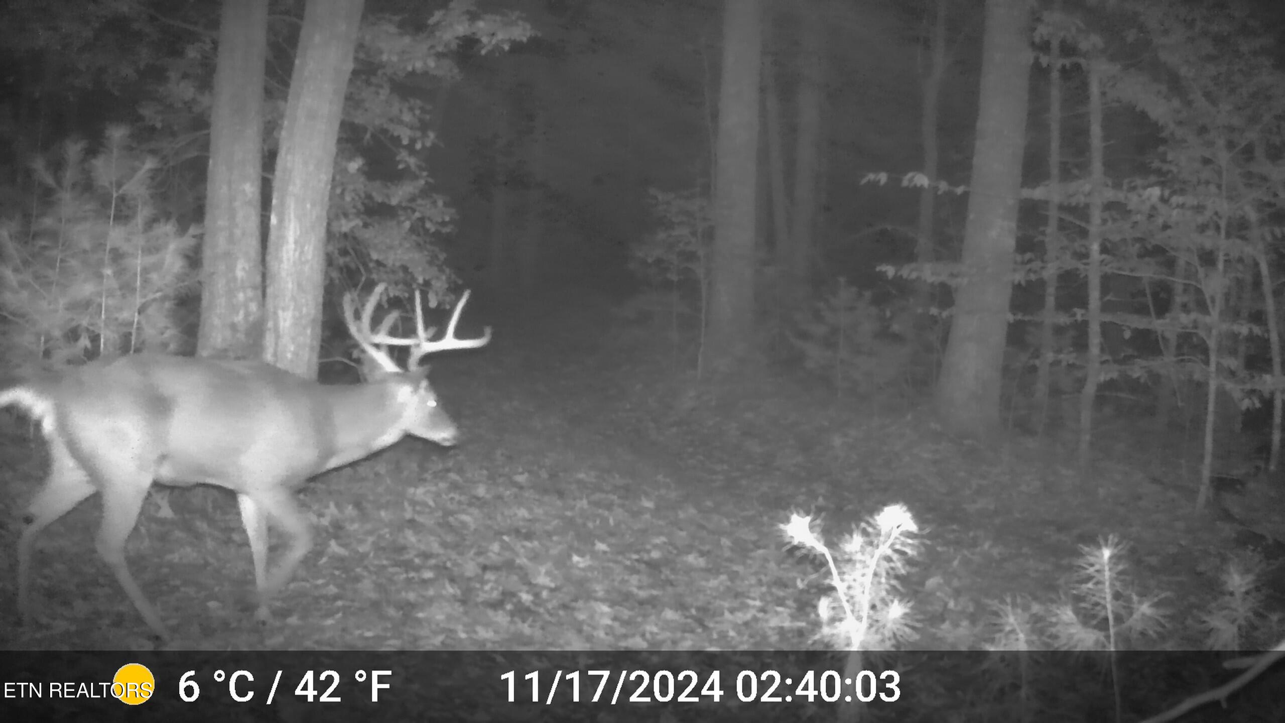 37 Hambright Road Reliance, TN 37369 - Photo 5 of 41 DSCF0013