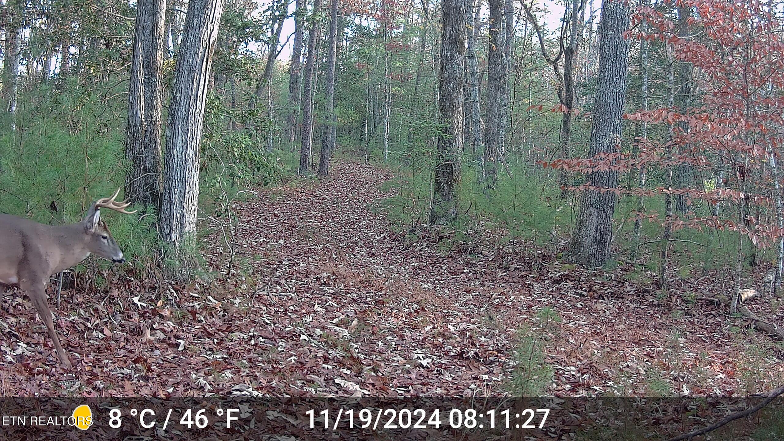 37 Hambright Road Reliance, TN 37369 - Photo 6 of 41 DSCF0034