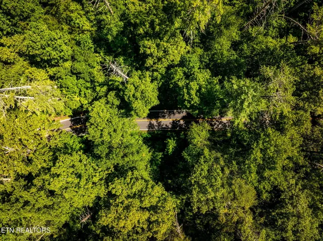 $565,000 | 37 Hambright Road, Reliance, TN 37369