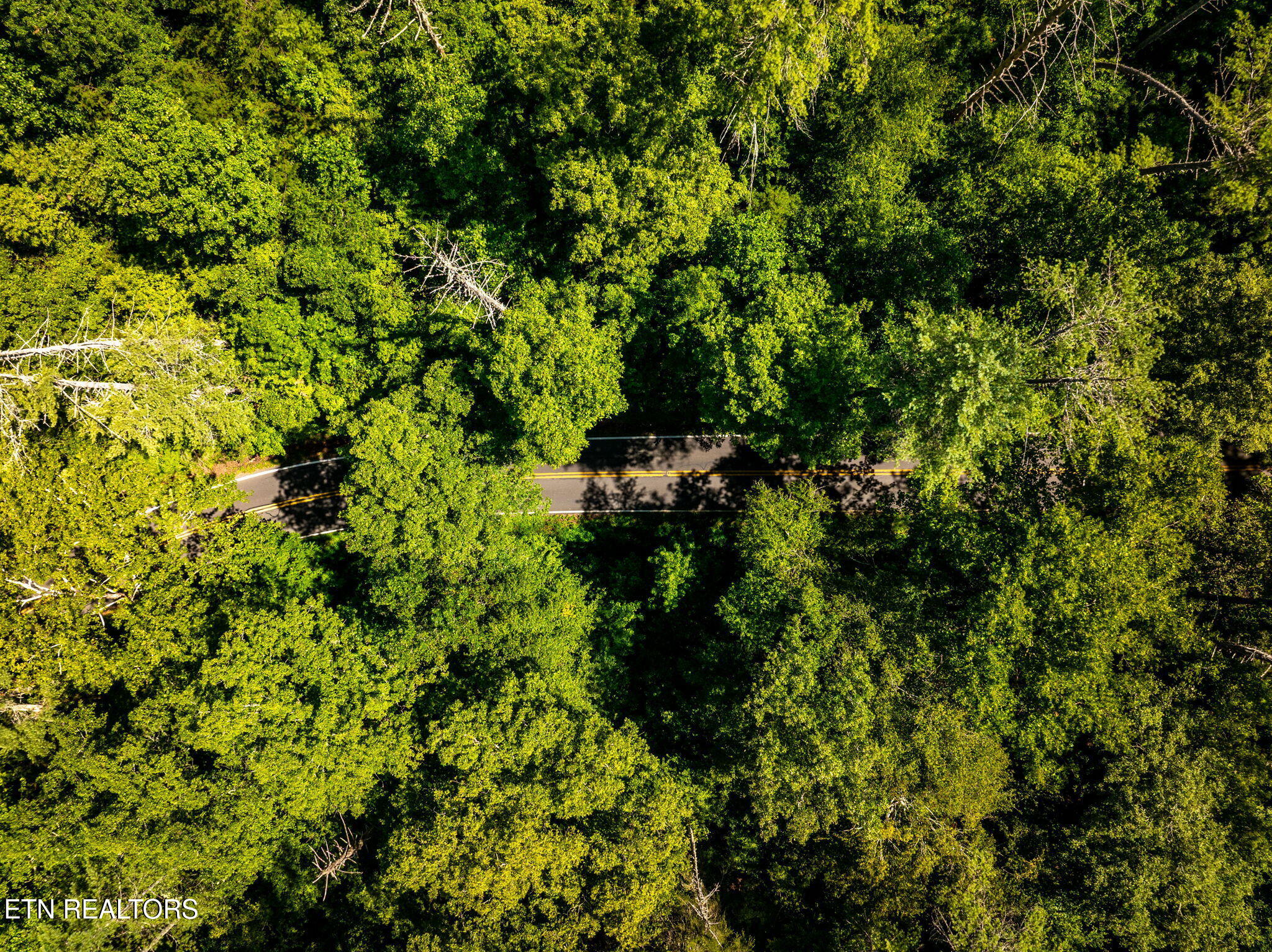 37 Hambright Road Reliance, TN 37369 - Photo 10 of 41 34-web-or-mls-DJI_20250714082804_0927_D-