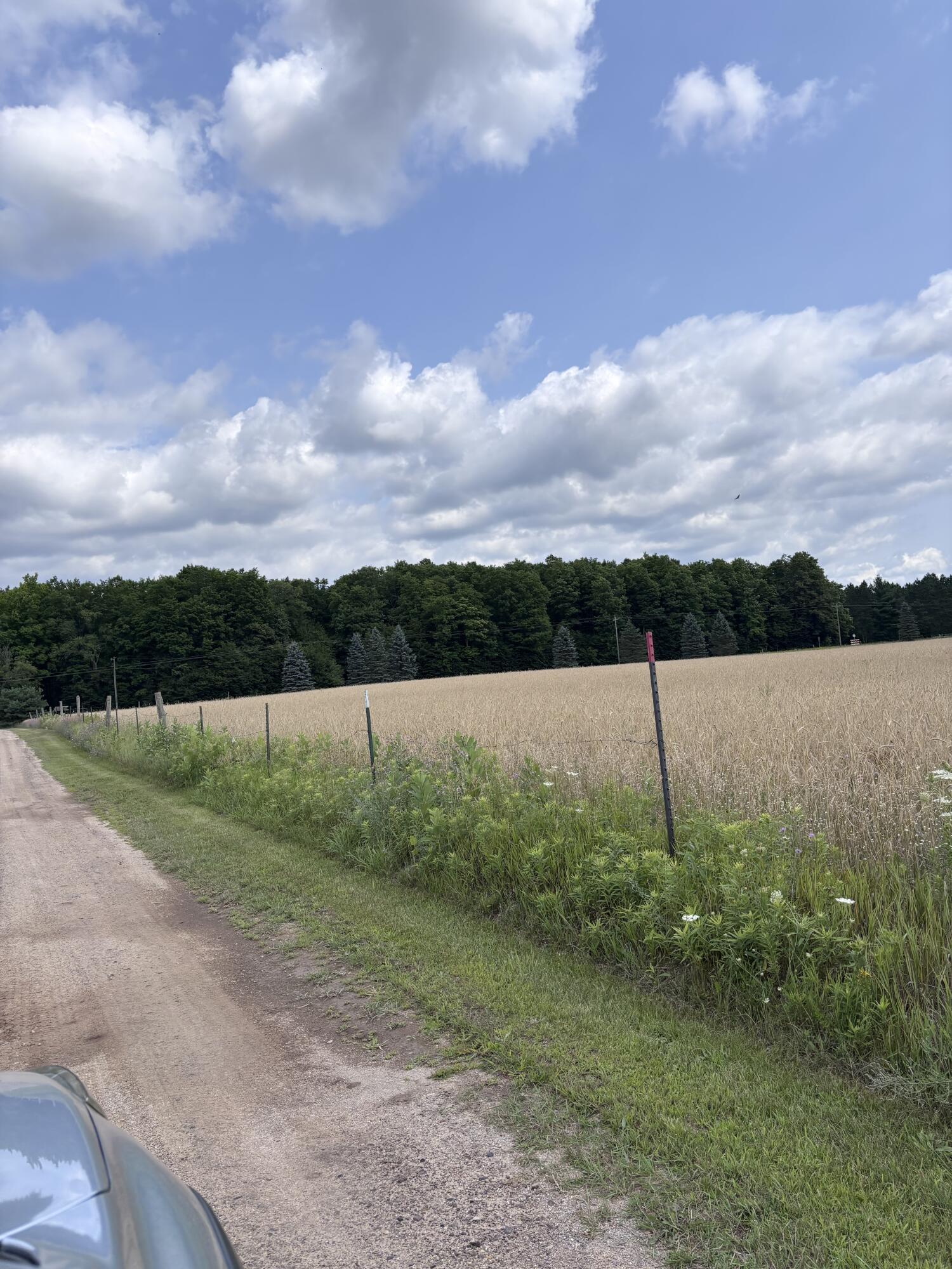 Johnson Road Kaleva, MI 49645 - Photo 15 of 20 IMG_5378