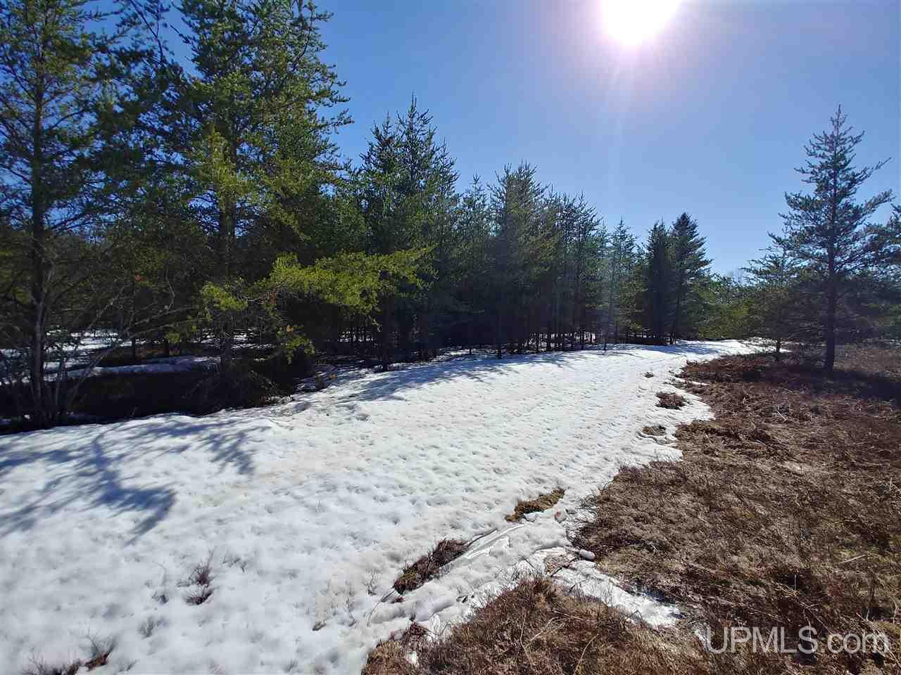 Tbd Tbd Millyard Road Little Lake, MI 49833 - Photo 5 of 8
