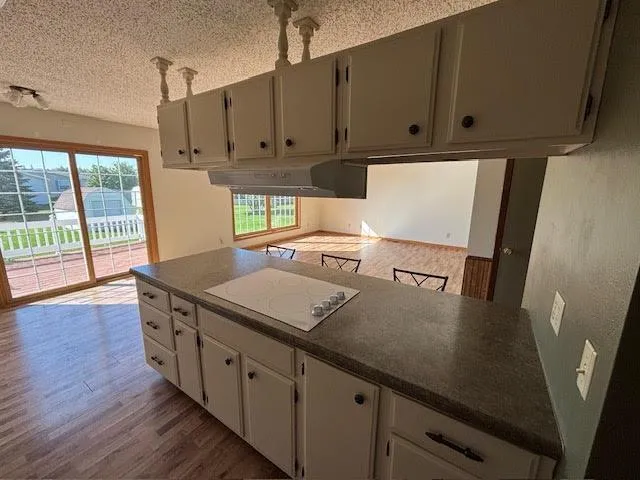 $185,900 | 1114 Greenwood Street East, Thief River Falls, MN 56701