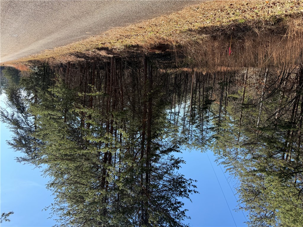 0 Woodall Mountain Road Pickens, SC 29671 - Photo 3 of 6