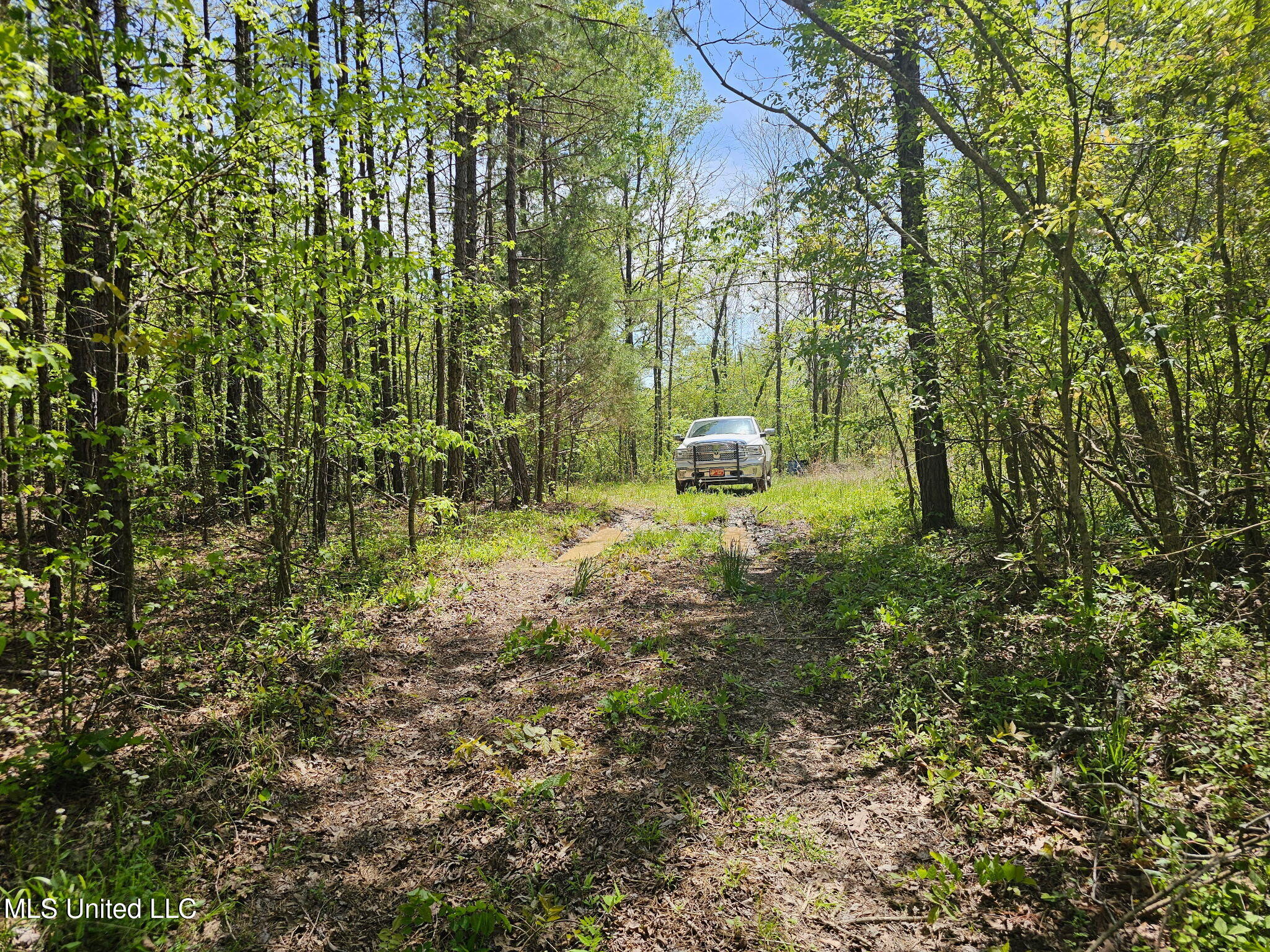 600 County Road 431 Ripley, MS 38663 - Photo 2 of 8 3371195825081470228