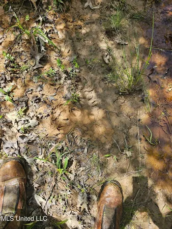 $90,000 | 600 County Road 431, Ripley, MS 38663