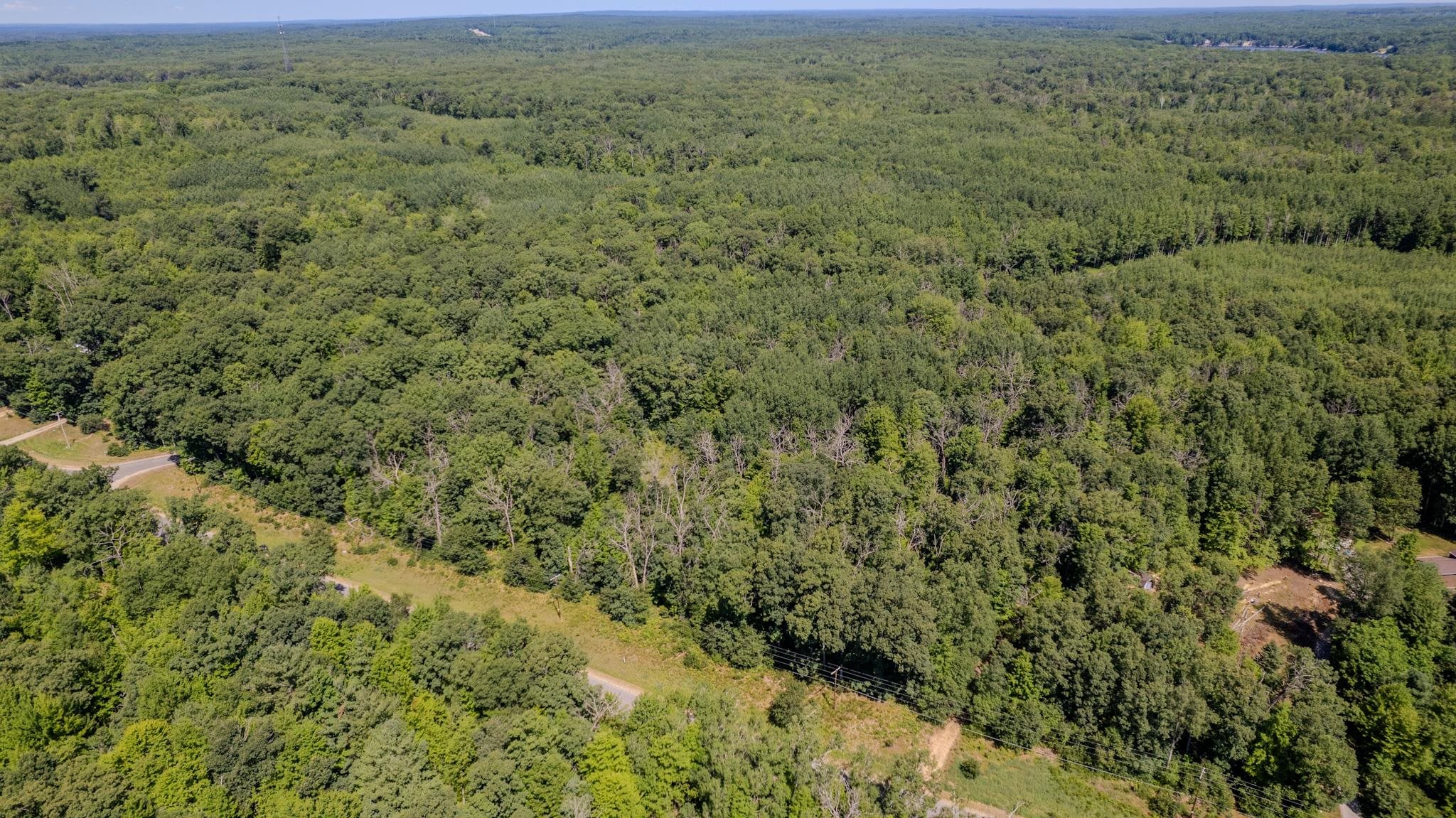 East Cranberry Lake Road Harrison, MI 48625 - Photo 4 of 10