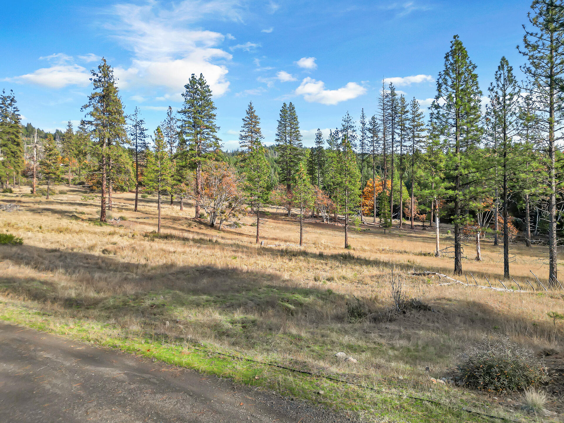 4000 Fs Road Hyampom, CA 96046 - Photo 59 of 83