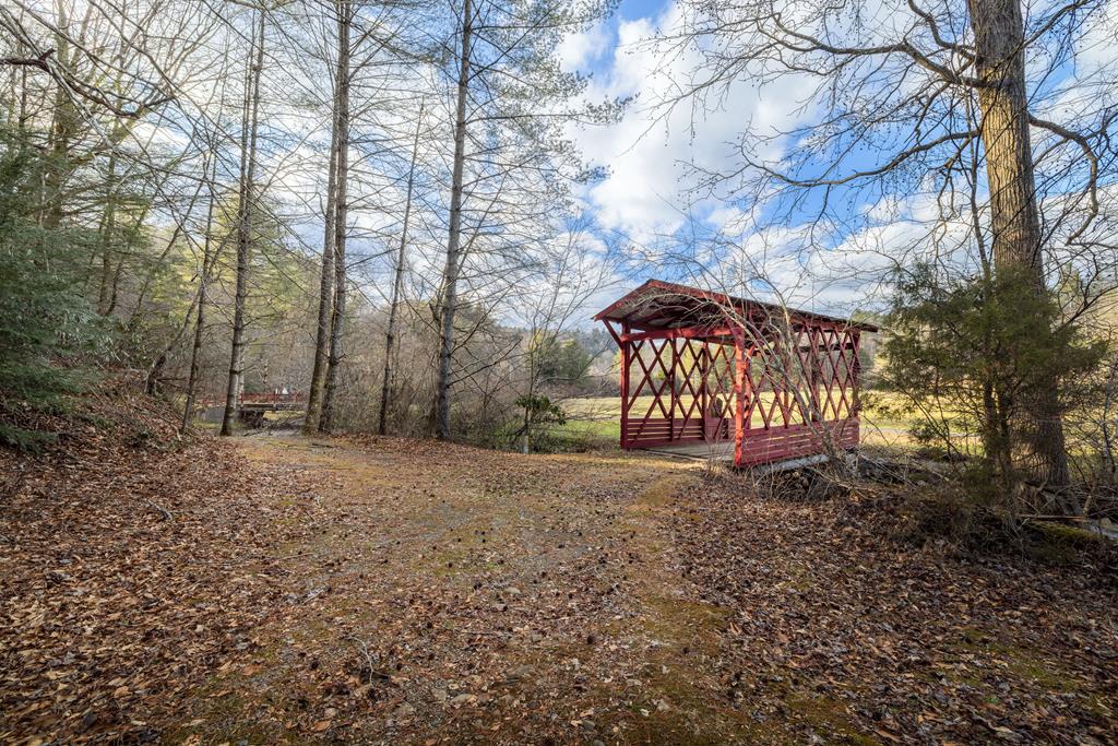 3771 Gates Chapel Road Ellijay, GA 30540 - Photo 1 of 12 Main View