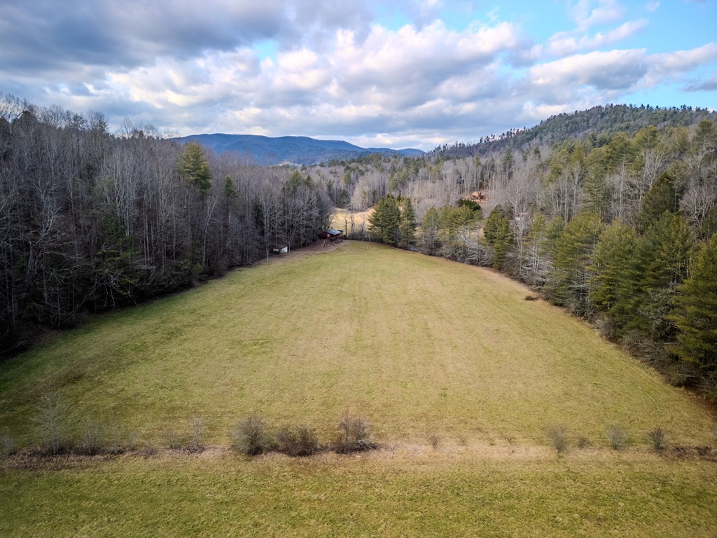 3771 Gates Chapel Road Ellijay, GA 30540 - Photo 12 of 12