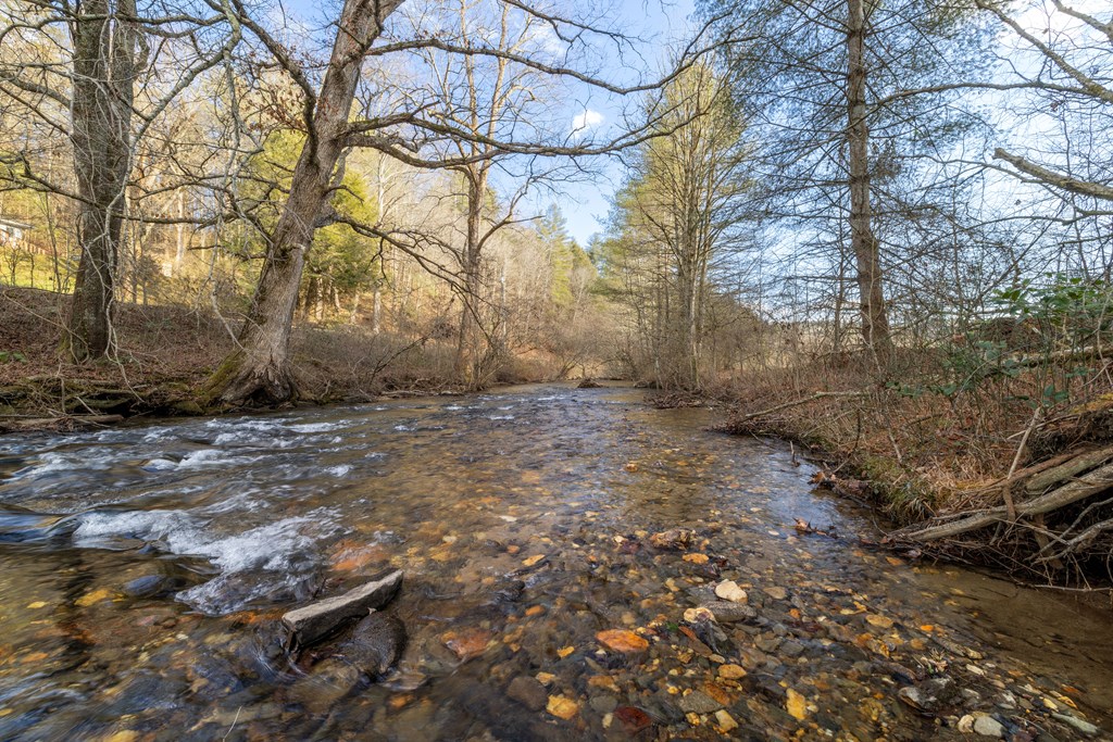 3771 Gates Chapel Road Ellijay, GA 30540 - Photo 2 of 12