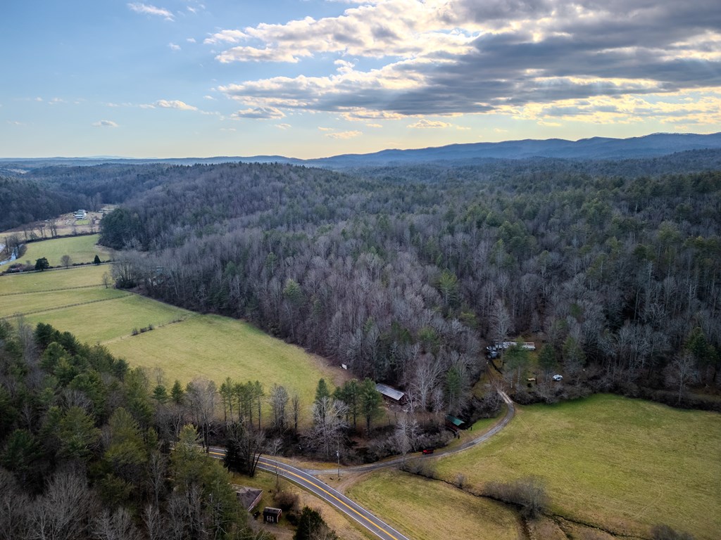 3771 Gates Chapel Road Ellijay, GA 30540 - Photo 3 of 12