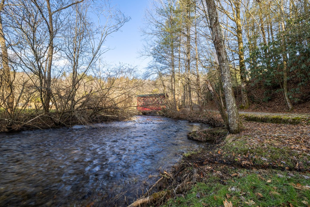 3771 Gates Chapel Road Ellijay, GA 30540 - Photo 6 of 12