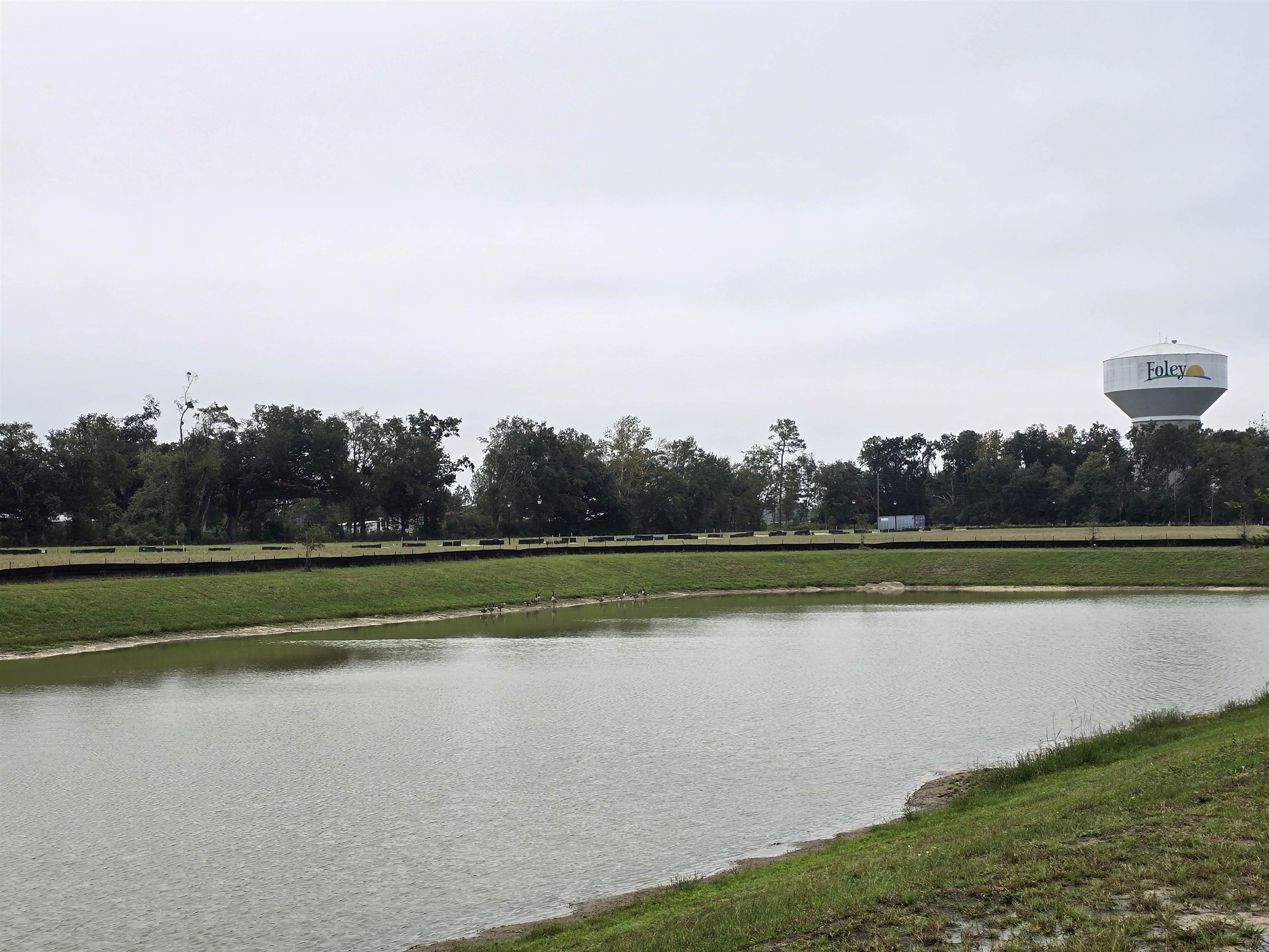 17824 Hens Avenue Foley, AL 36535 - Photo 19 of 33