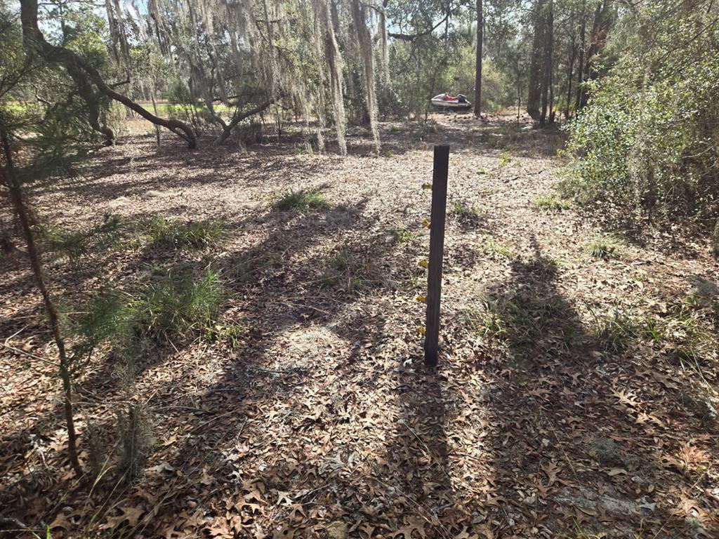 206 Wales Street Interlachen, FL 32148 - Photo 7 of 10 a street view with trees