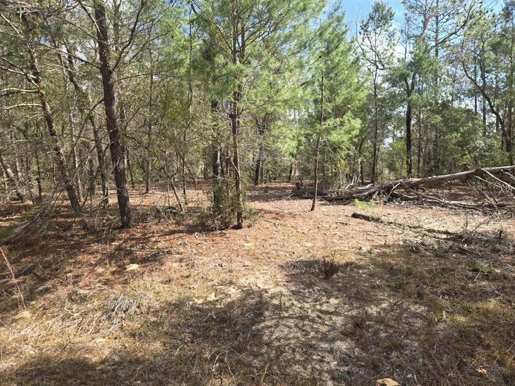 206 Wales Street Interlachen, FL 32148 - Photo 9 of 10 a view of covered with snow