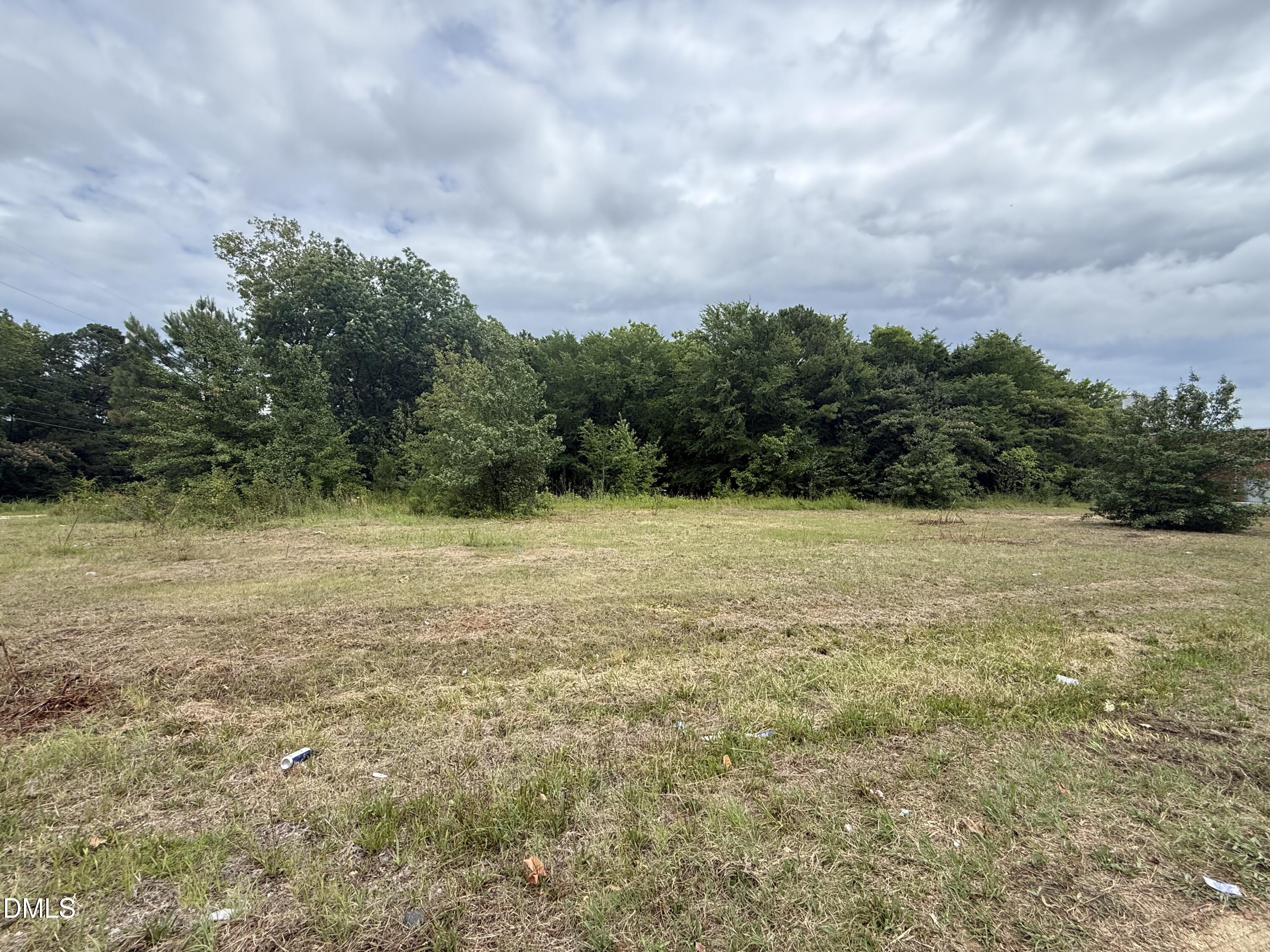 264 North 15th Street Erwin, NC 28339 - Photo 4 of 6