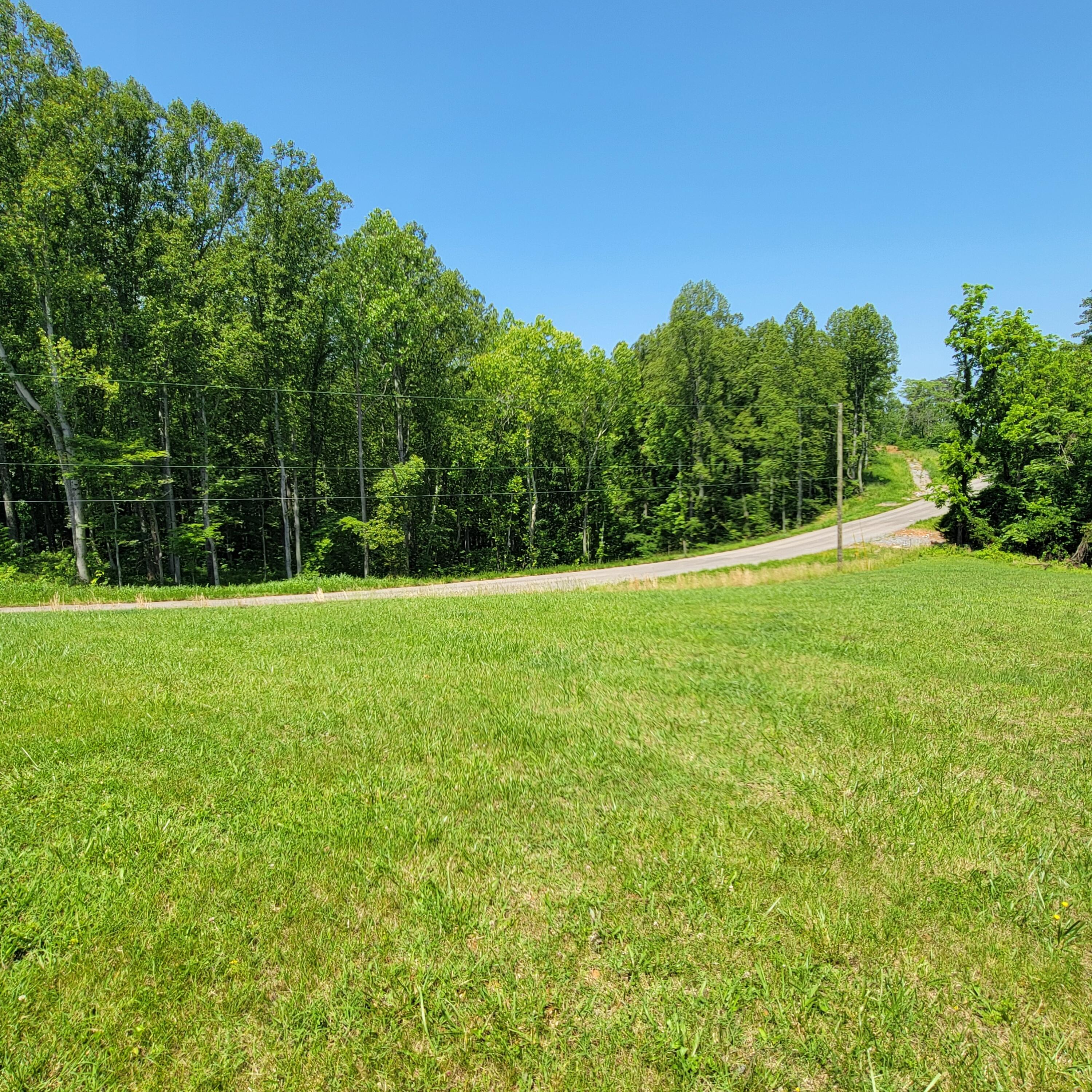 1160 Moorman Road Hardy, VA 24101 - Photo 3 of 26 Yard