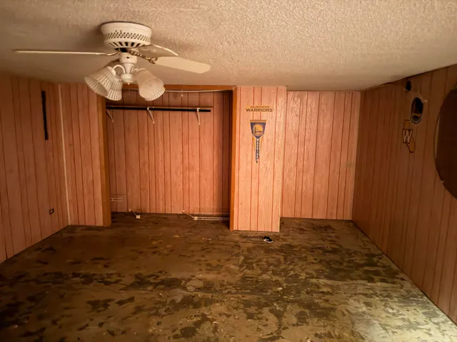 a view of a yard with plants