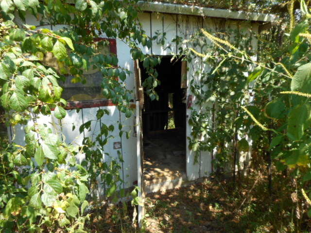 111 Fairview Road Harriman, TN 37748 - Photo 31 of 36 DSCN0245