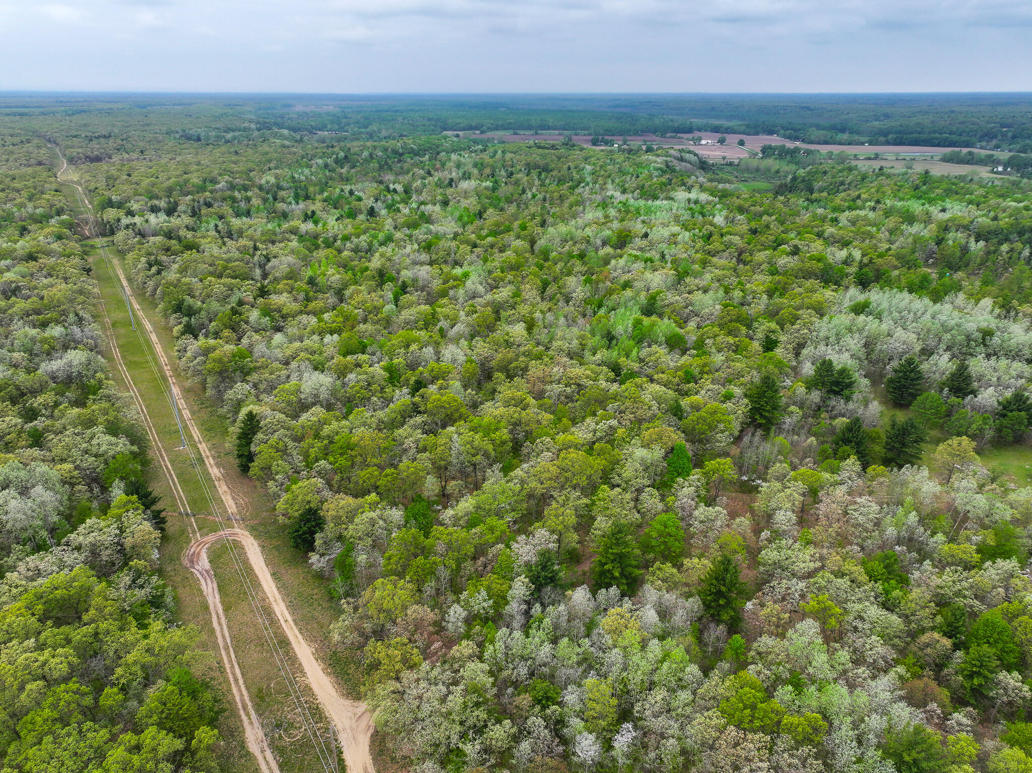 12.19 Rapp Drive Twin Lake, MI 49457 - Photo 14 of 48 DJI_20260512132018_0542_D
