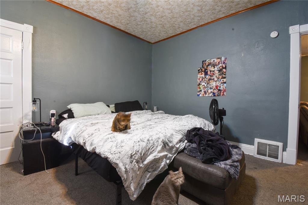 619 East Main Street Staunton, IL 62088 - Photo 7 of 17