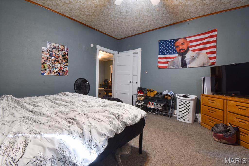 619 East Main Street Staunton, IL 62088 - Photo 8 of 17