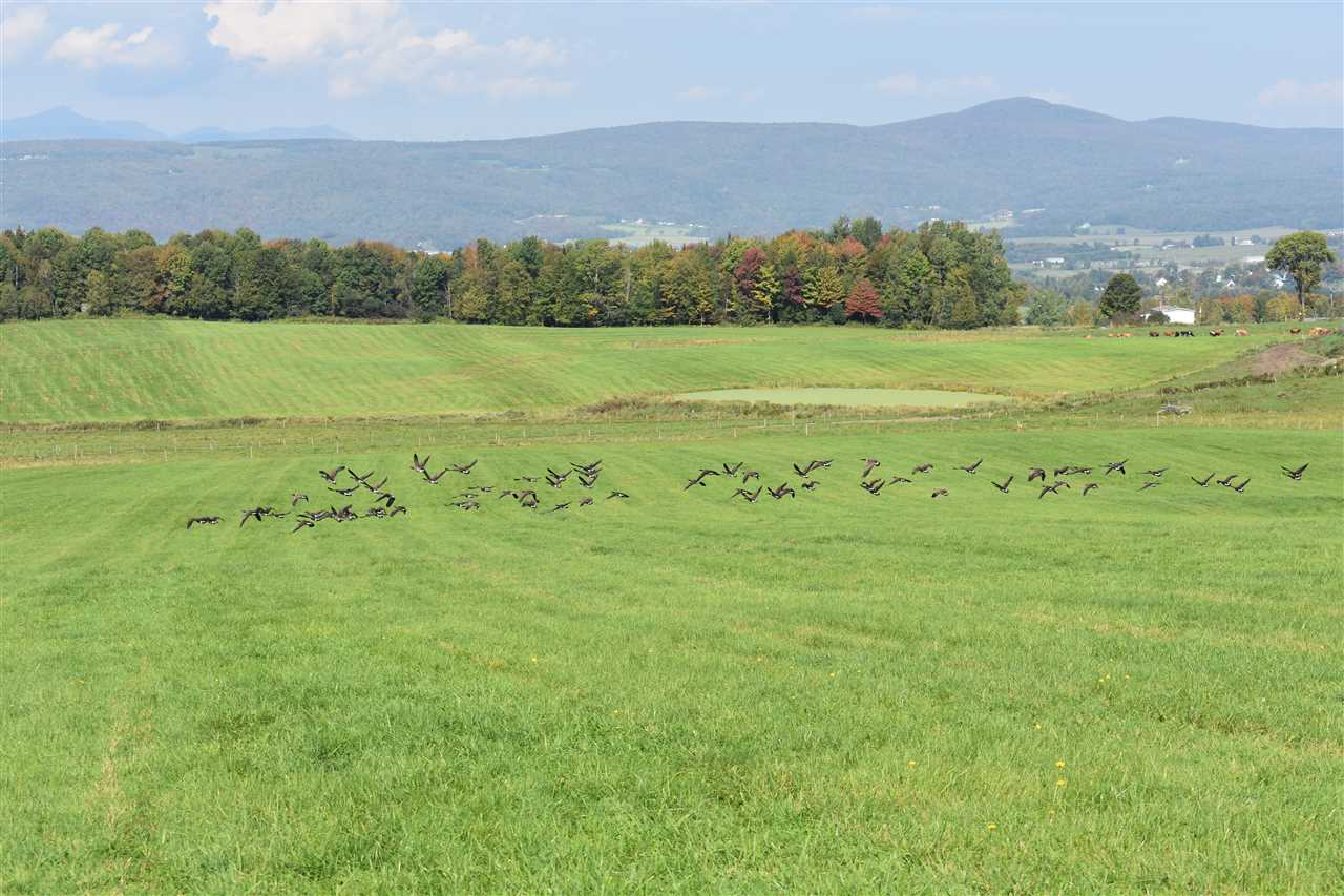 Burton Hill Road Irasburg, VT 05845 - Photo 23 of 30
