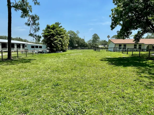 a view of a tree in a yard