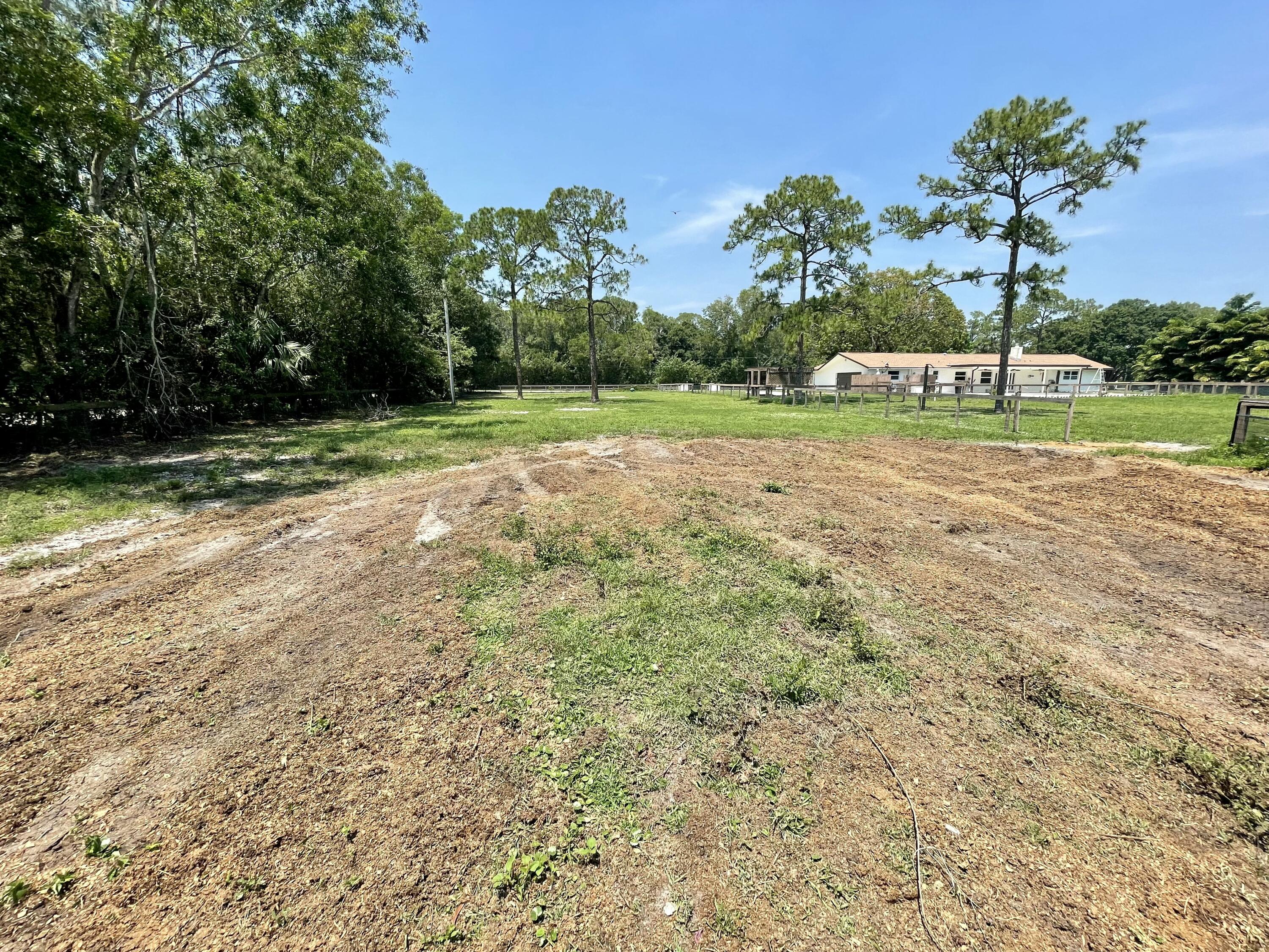 16605 115th Avenue North Jupiter, FL 33478 - Photo 54 of 54 a view of a tree in a yard