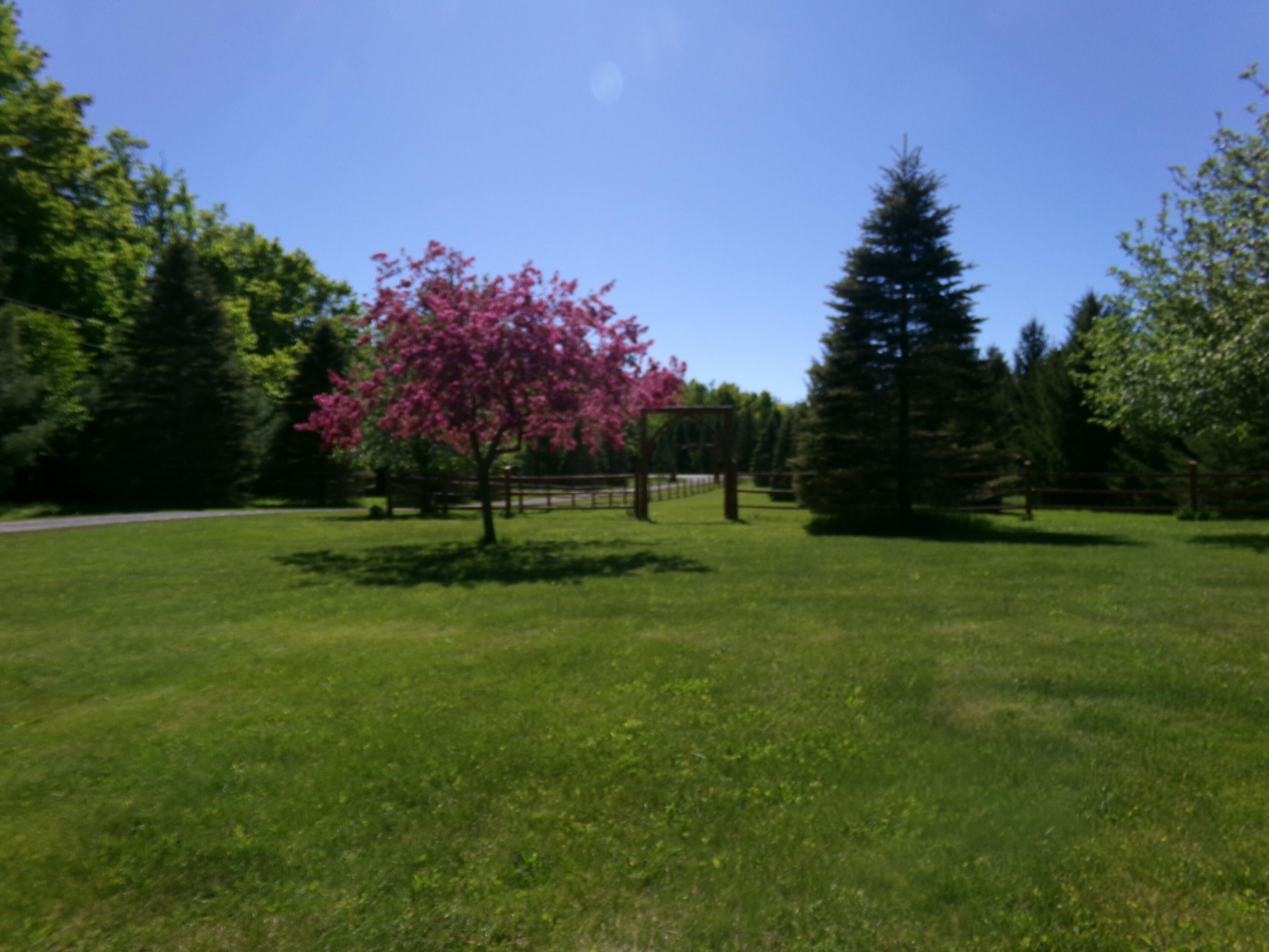 9901 Bolton Road Posen, MI 49776 - Photo 21 of 60 From house to the road