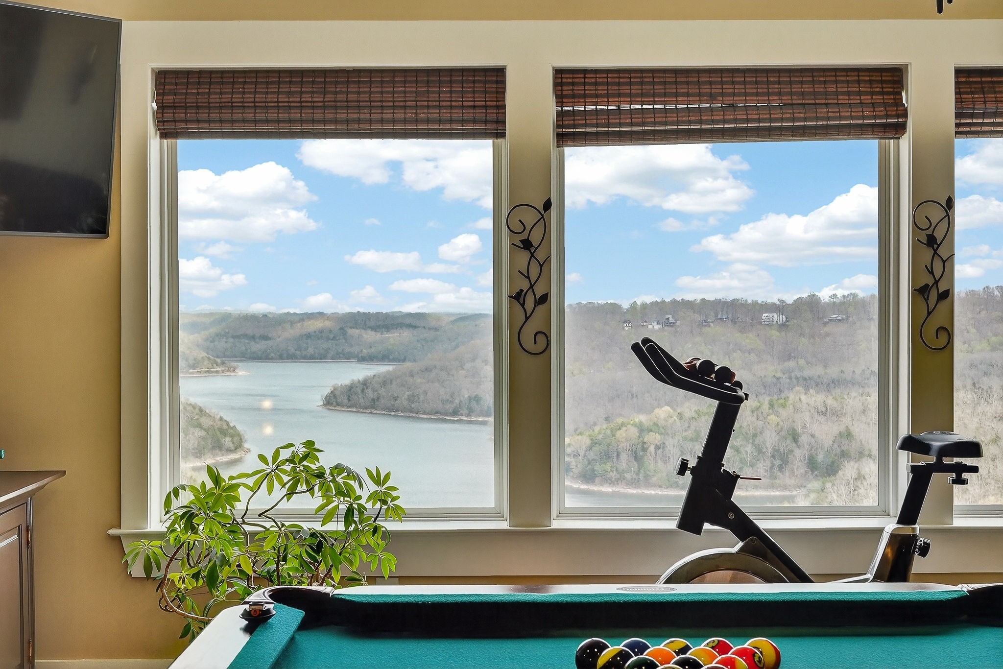 195 Coventry Way Smithville, TN 37166 - Photo 38 of 62 a picture of a window