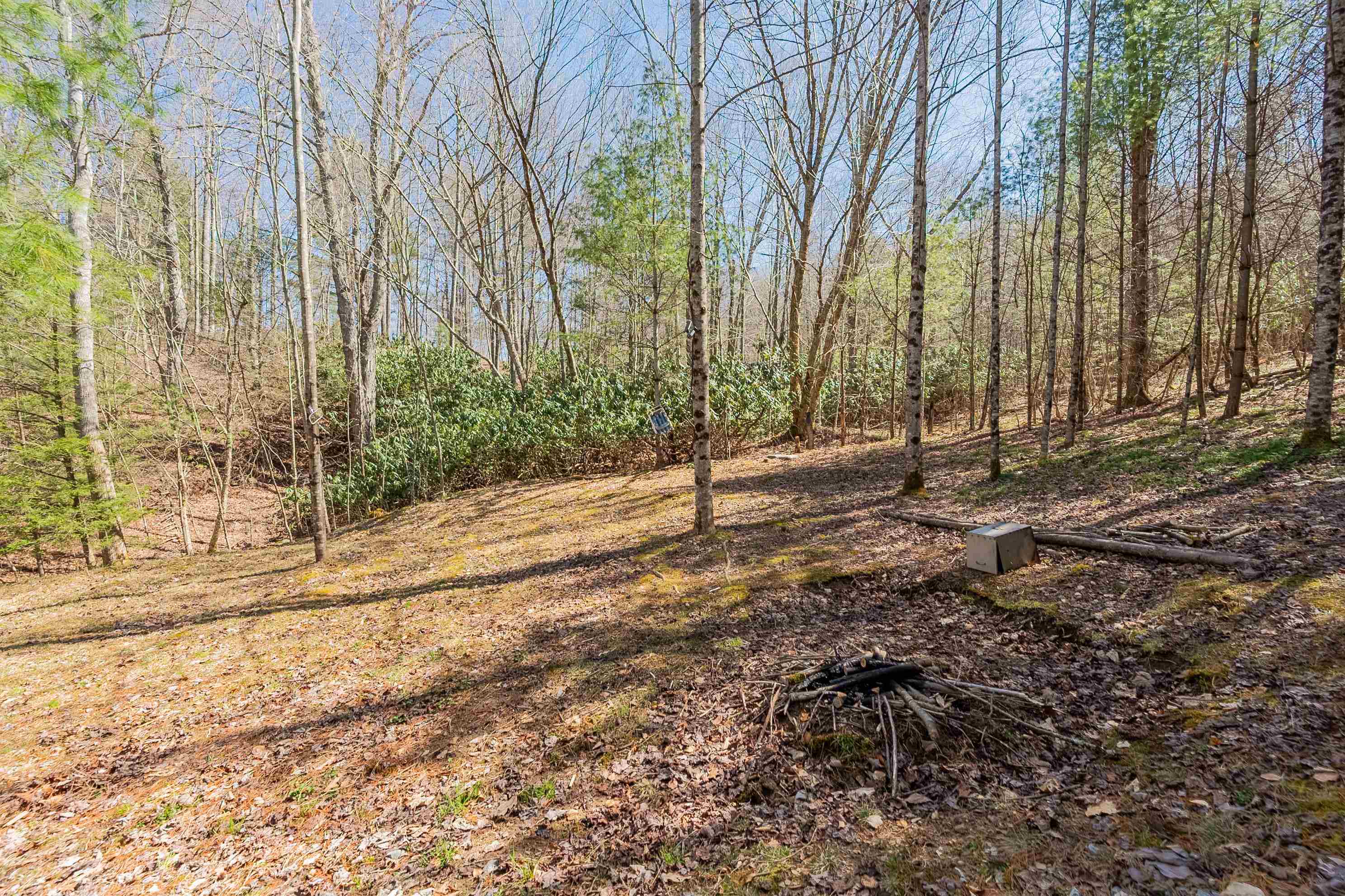 Tbd Southwest Tbd Sw Jeb Stuart Road Southwest Damascus, VA 24236 - Photo 34 of 113 Gallery Image 34