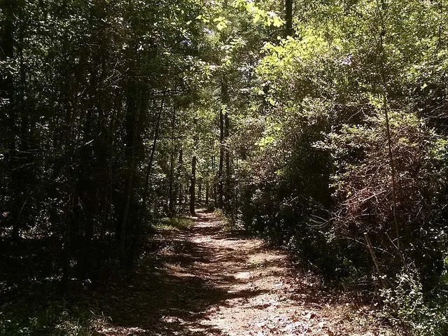 $799,987 | 28710 Misty Oaks Drive, Huffman, TX 77336