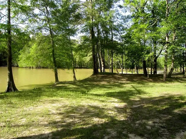 $799,987 | 28710 Misty Oaks Drive, Huffman, TX 77336