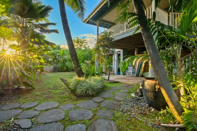a view of a backyard with plants and a patio