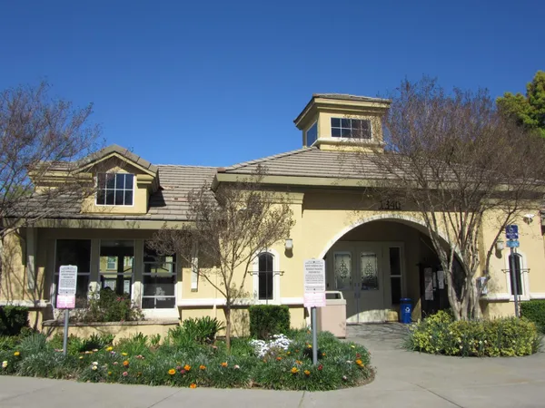a view of a large trees with a big yard and large trees