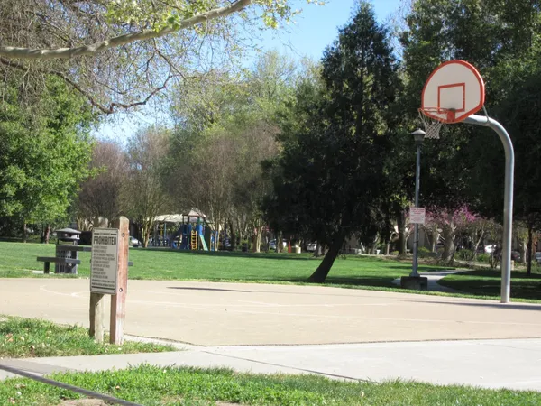 a view of a grassy field with trees