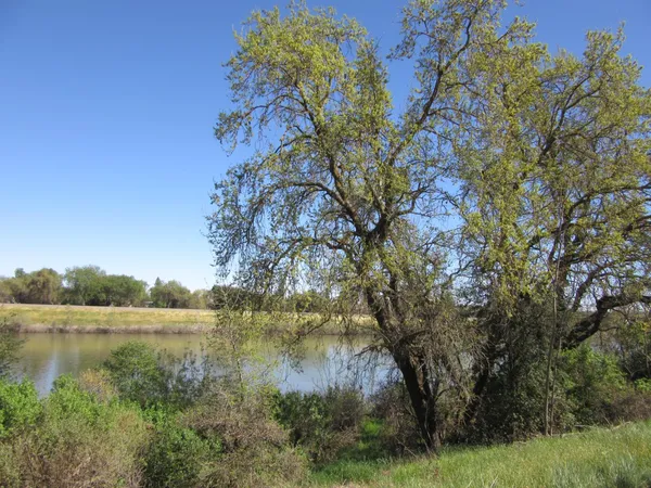 $345,000 | 2390 San Marco Street, Unit 6, West Sacramento, CA 95691