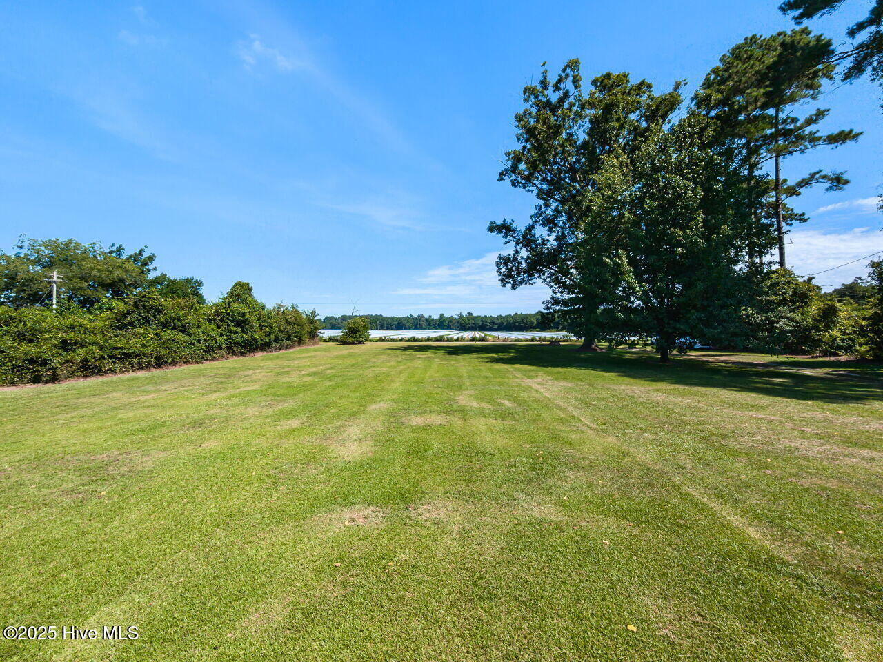 3566 North McCullen Road Faison, NC 28341 - Photo 28 of 28 028-1280x960-front-yard