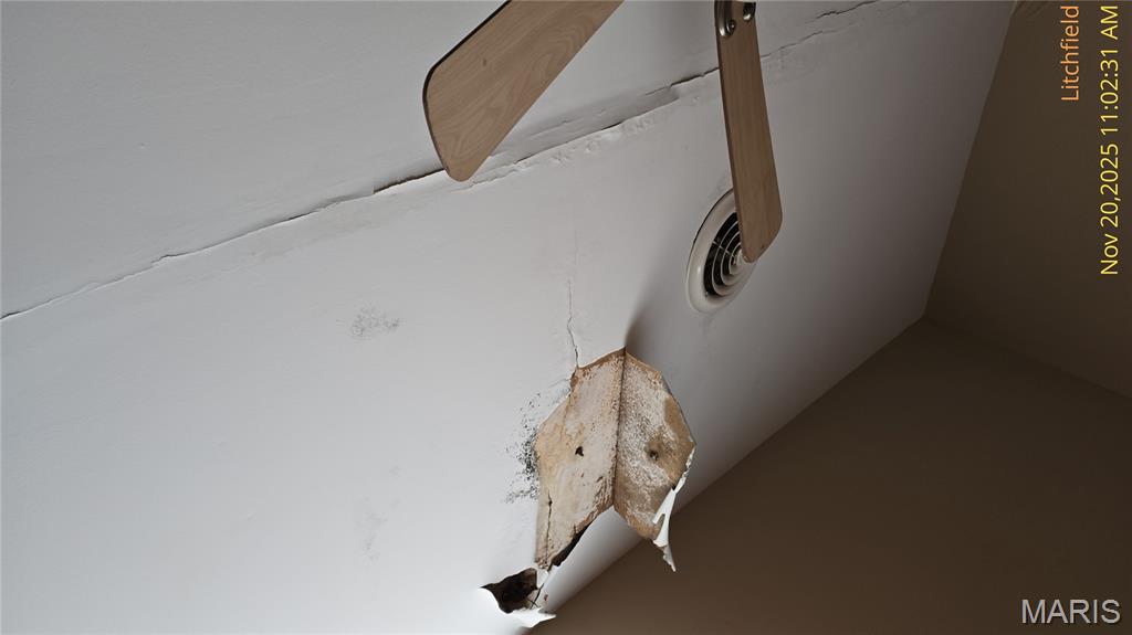 104 West Edwards Street Litchfield, IL 62056 - Photo 25 of 38