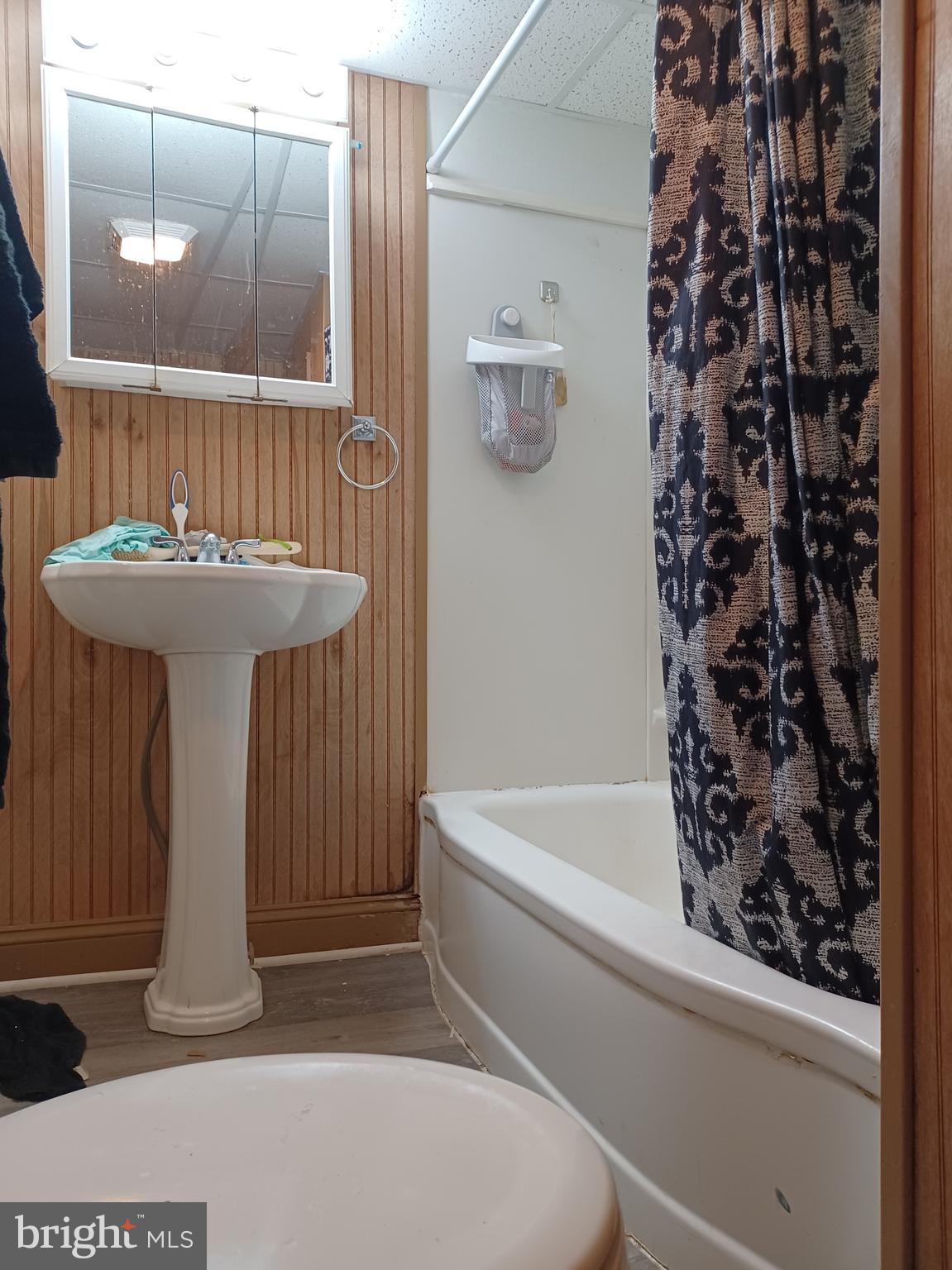 43 West Ferdinand Street Manheim, PA 17545 - Photo 12 of 23 a bathroom with a sink a mirror and a shower